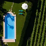 Vitis Неграр