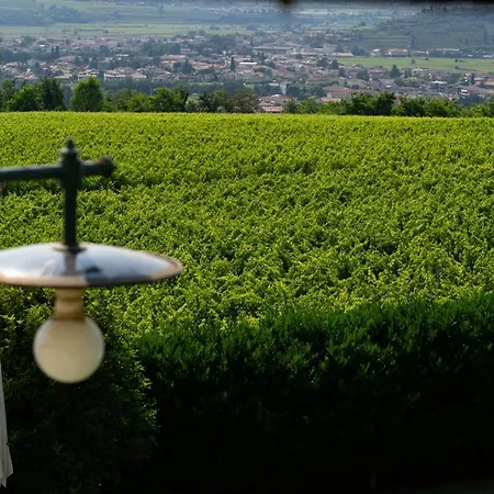 Vitis Lodge