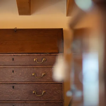 Vitis ネグラール