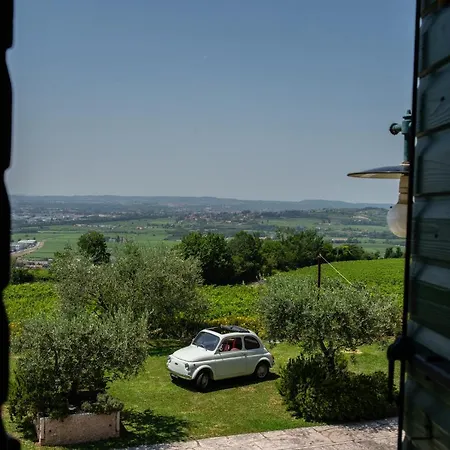 Vitis Lodge