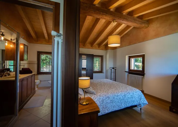 Vitis * نيغرار