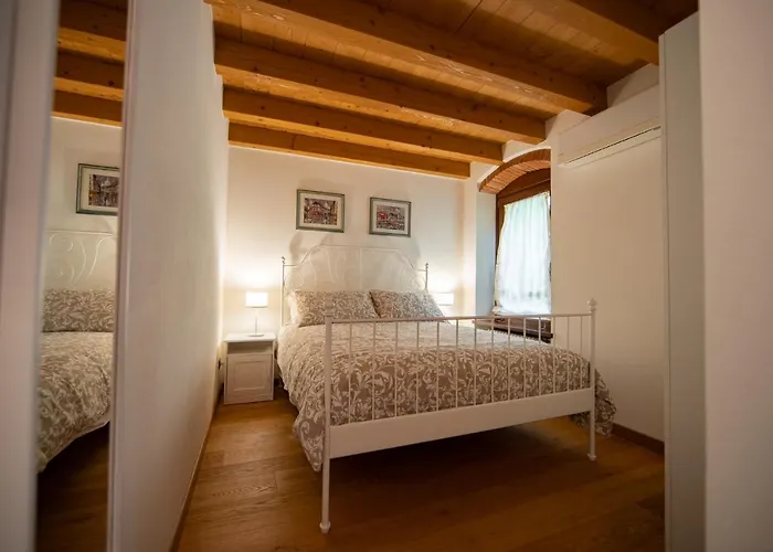 Vitis * نيغرار