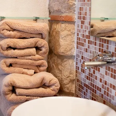 Vitis * Неграр