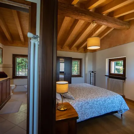 Vitis * 内格拉尔