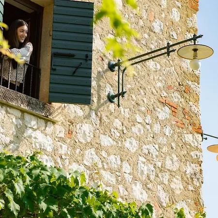 Vitis Lodge
