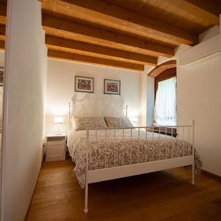 Vitis * Неграр