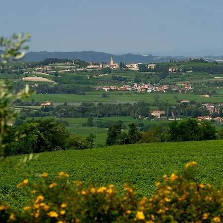 Gerendaház Vitis