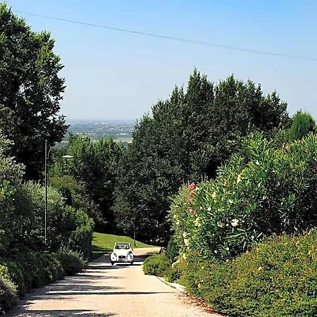 Vitis Lodge Negrar
